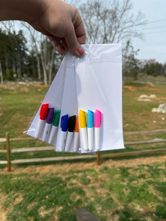 Reusable Coloring Magnet Set