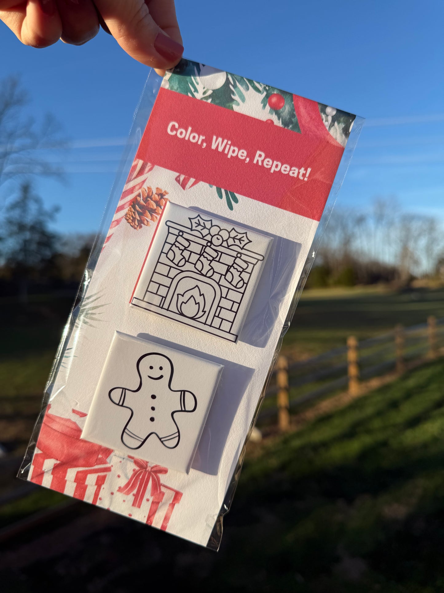 Reusable Coloring Magnet Set