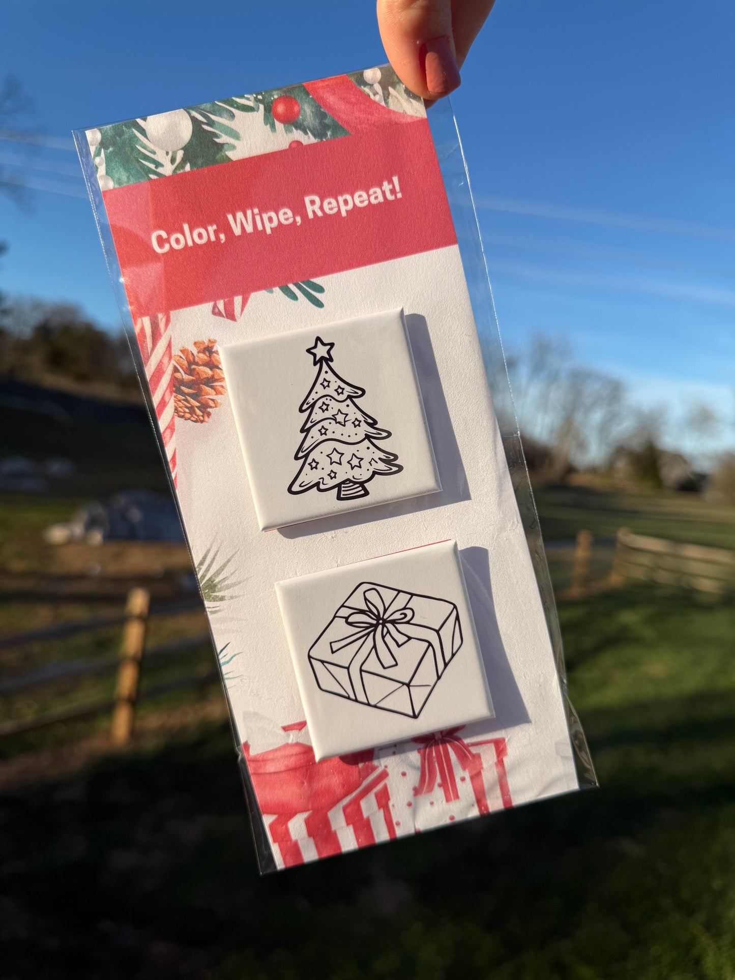 Reusable Coloring Magnet Set