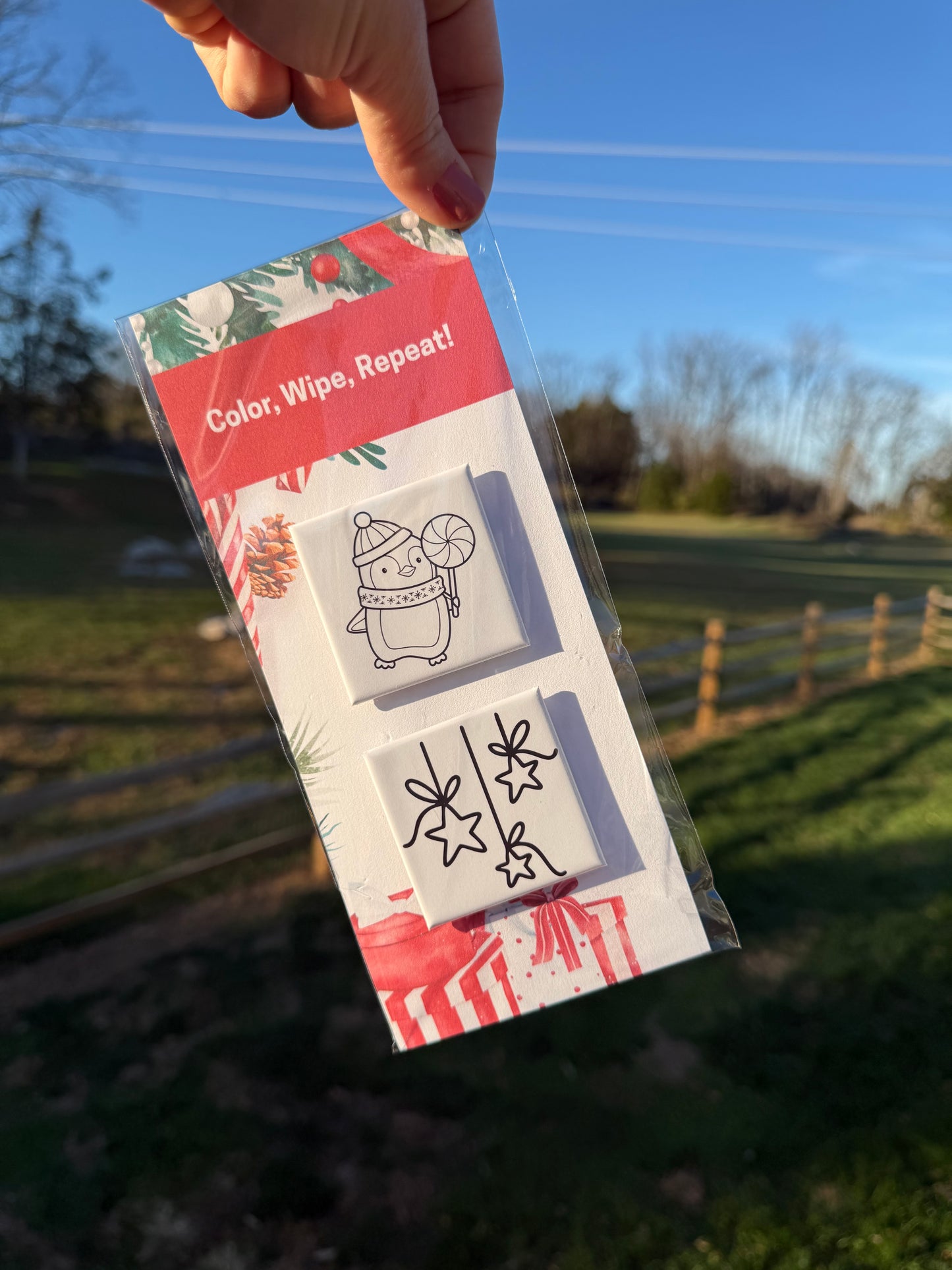 Reusable Coloring Magnet Set